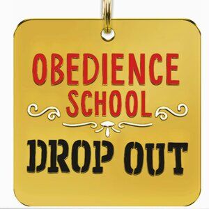 Obedience School Drop Out Dog / Cat Collar Charm Tag Backpack Purse Charm